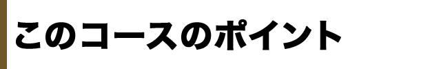 このコースのポイント